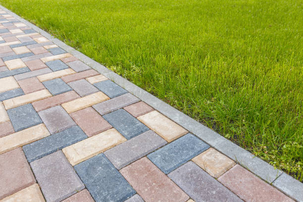 Best Local Driveway Pavers  in Pine Valley, CA